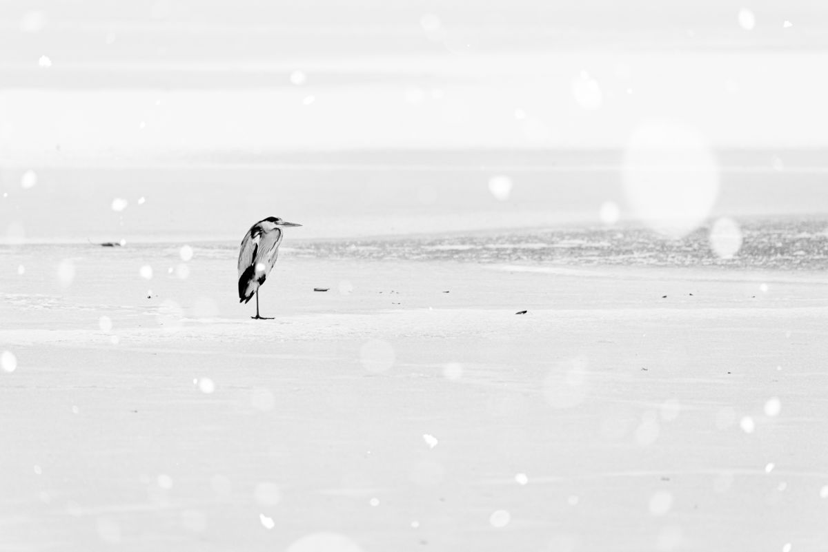 Darányiné Bakos Éva