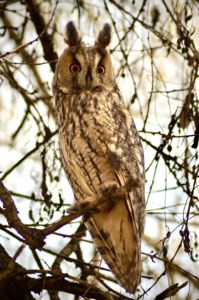 Mindent látok Mindent látok