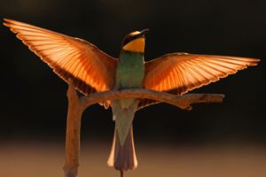 Angyalszárnyon Angyalszárnyon