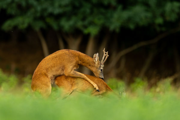 A suta aki nem vállalta az arcát ehhez a fotóhoz.