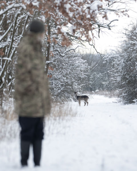 Ártalmatlan találkozás