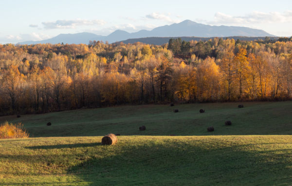 Naplemente Rakovica mellett