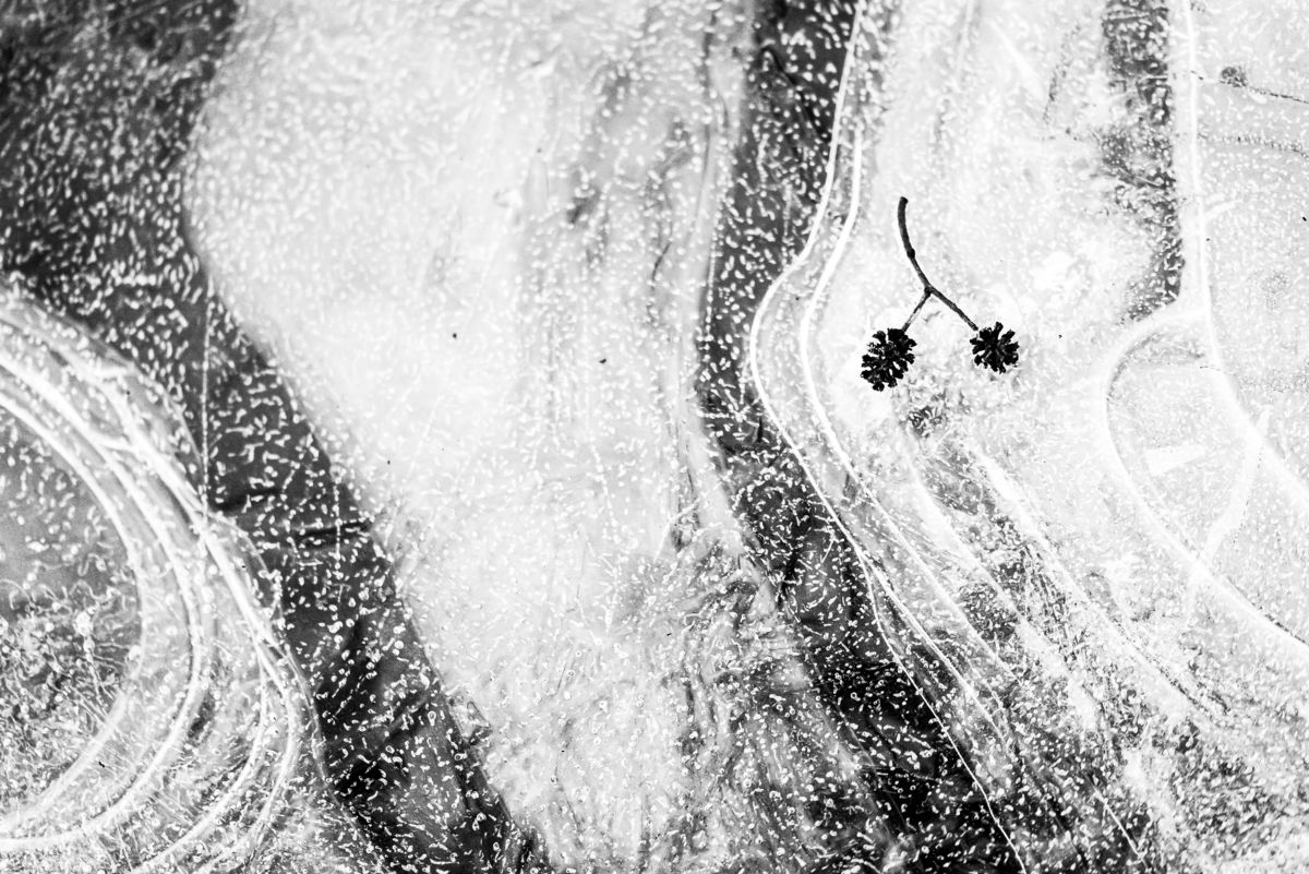 Darányiné Bakos Éva