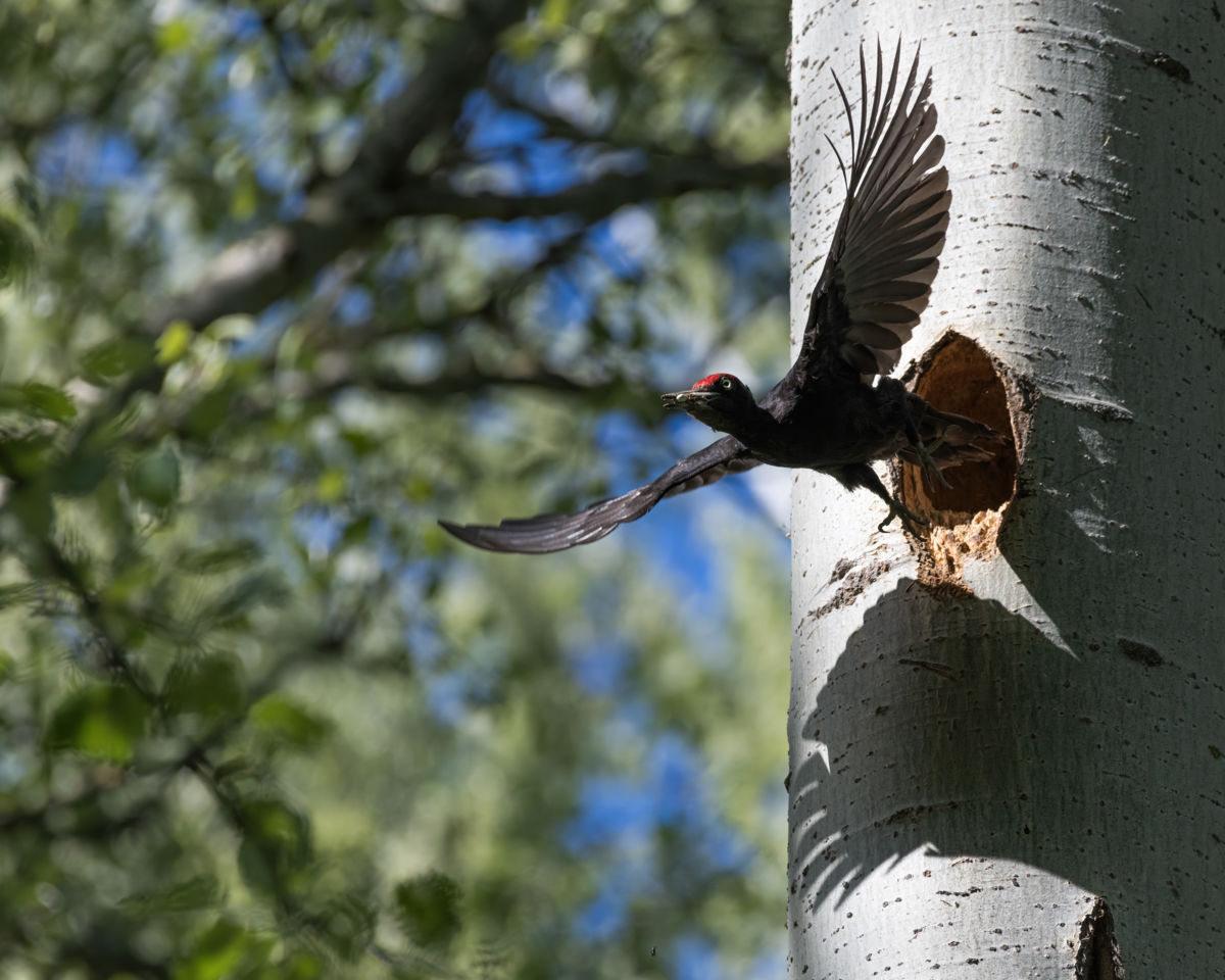Dr. Kálmán Zsuzsanna