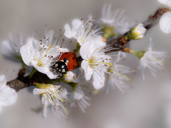 Kellemes környezetben