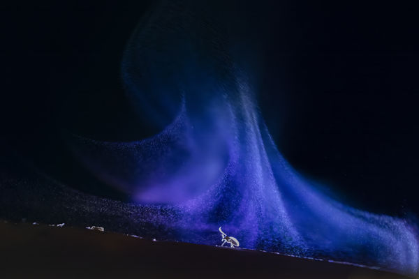 Szieszta a spórák között