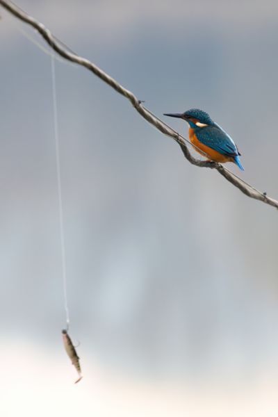 Találkozás egy régi szerelemmel