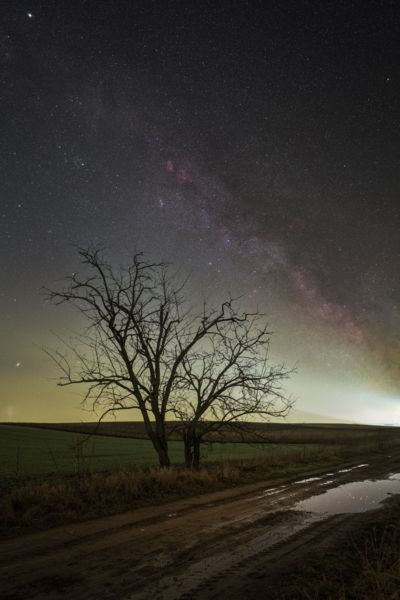 Csillagok tükre a dűlőúton