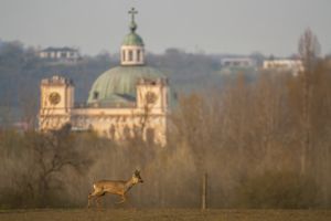 Együttállás Együttállás