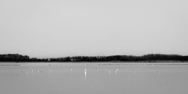 White canvas