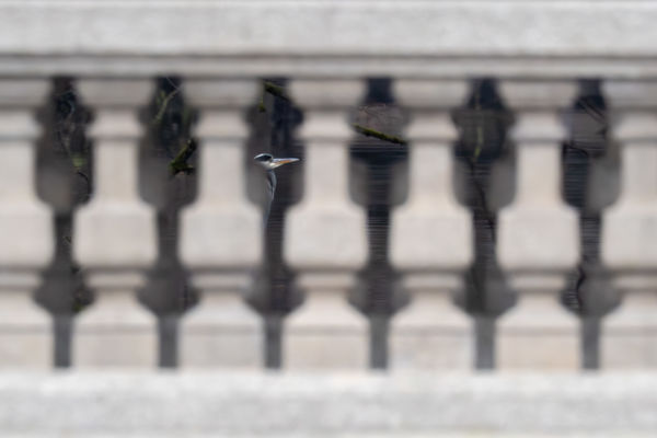 Ablak egy rejtett világra