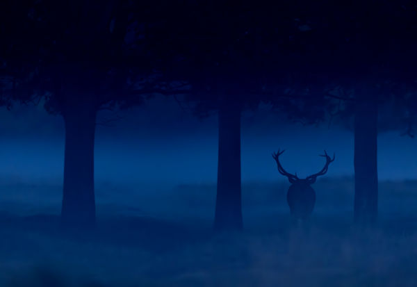 Ködbe vesző hajnal, kékbe oldódó magány