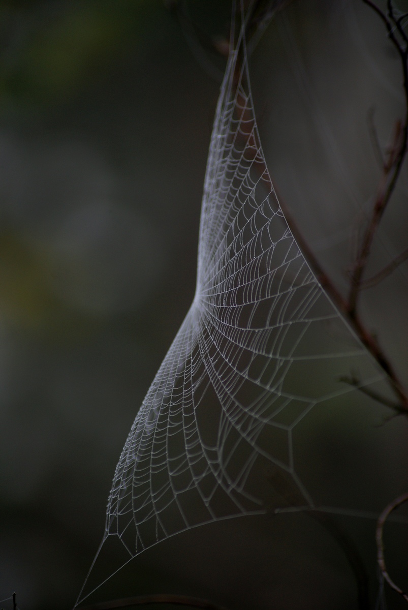 Laczkó-Magyar György