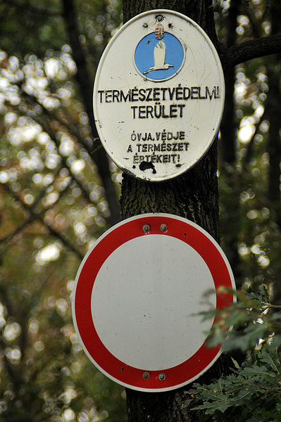 Ezt komolyan gondolják??????