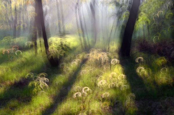 Hajnali tündértánc