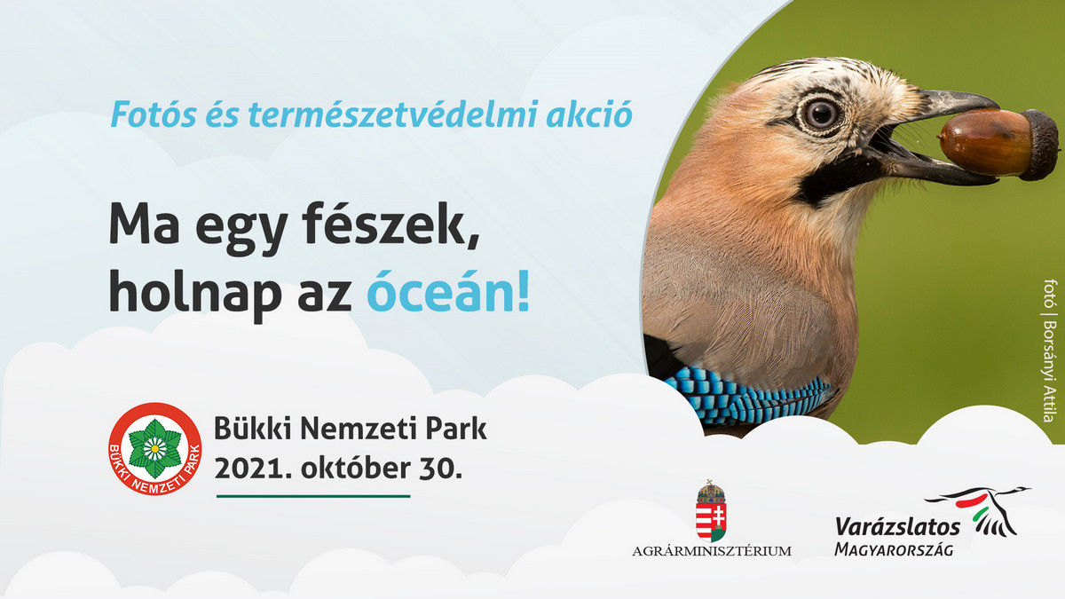 “Ma egy fészek, holnap az óceán!” természetvédelmi program a Bükkben