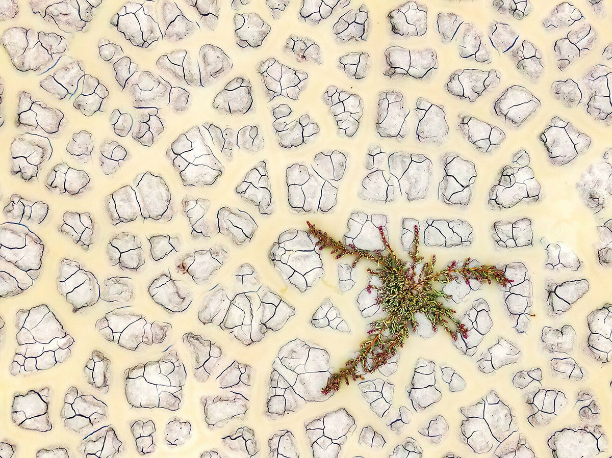 Magyar sikerek a 32. Memorial María Luisa nemzetközi természetfotós pályázaton