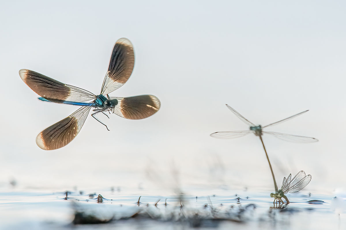 Megszülettek a VM augusztusi fotópályázatának eredményei