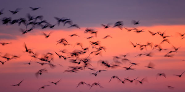 Kalandozások nemzeti parkjainkban – Hortobágyi Nemzeti Park III.