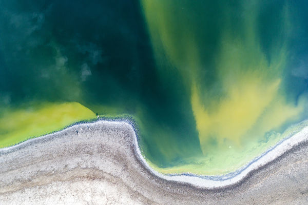 Megszülettek a VM augusztusi fotópályázatának eredményei