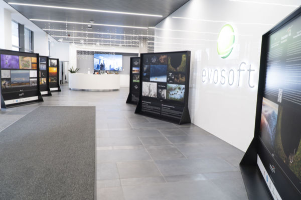 Egy kiállítás hat élete