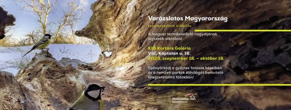 Varázslatos természetfotók Vácon