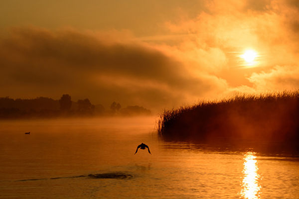 Kalandozások nemzeti parkjainkban – Hortobágyi Nemzeti Park