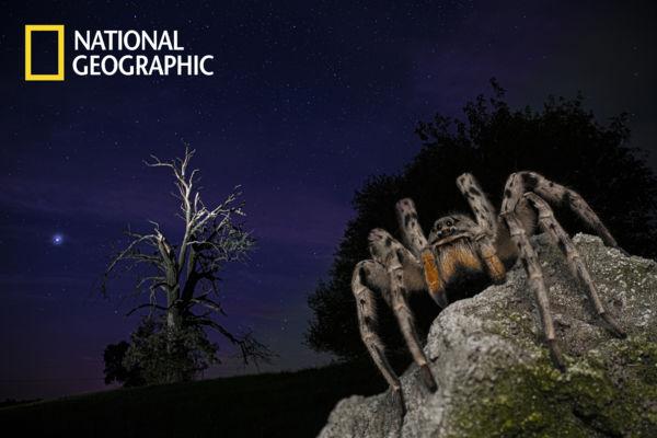 Kedvencünk: a kísérletező fotós - National Geographic