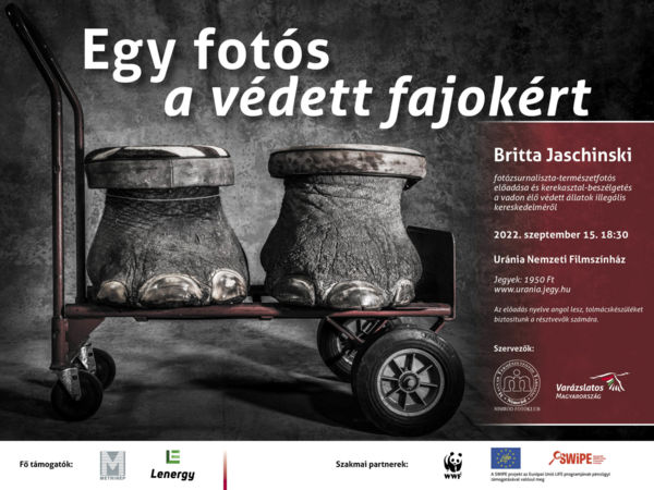 Egy fotós a védett fajokért