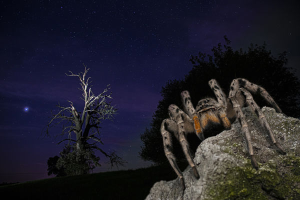 Megszülettek a VM szeptemberi fotópályázatának eredményei