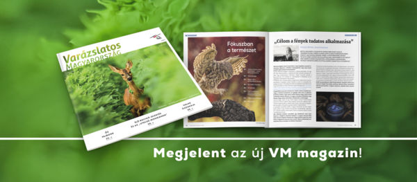 VM magazin &#8211; A természet, és ami mozgatja