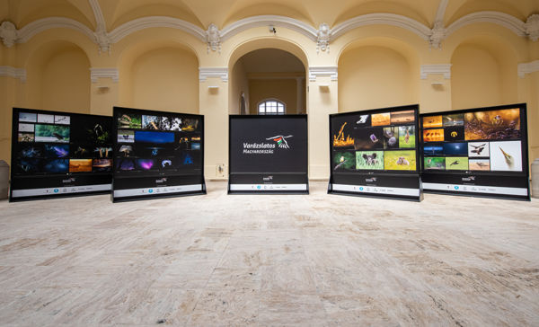 Impozáns kiállítóhely impozáns tárlatnak