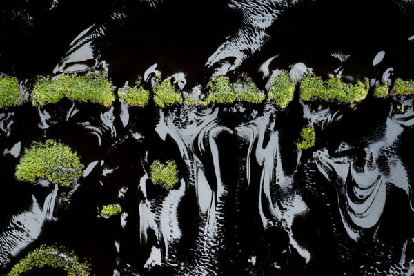 Taroltak a magyar természetfotósok – Milvus természetfotó-pályázat