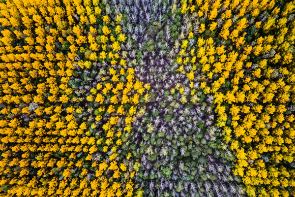 A VM 2021 szeptember havi pályázatainak eredményei