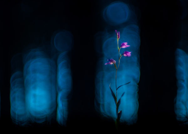 Kalandozások nemzeti parkjainkban – Kiskunsági Nemzeti Park II.