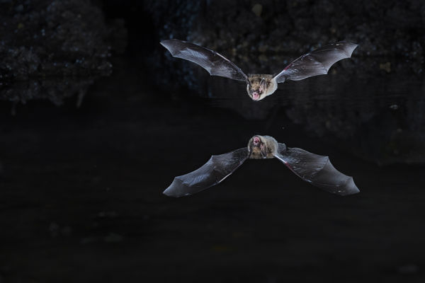 Kalandozások nemzeti parkjainkban – Bükki Nemzeti Park III.