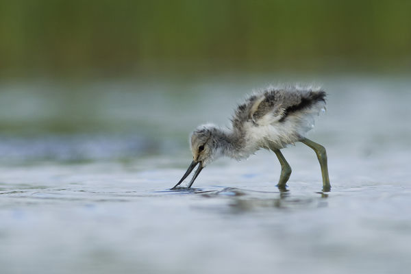 Sikeres együttműködés eredményei a dél-borsodi gazdákkal
