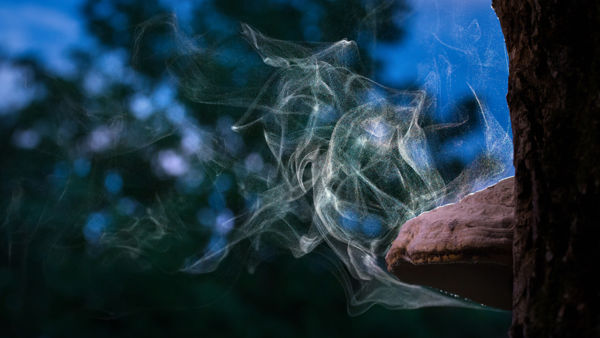 Kalandozások nemzeti parkjainkban – Aggteleki Nemzeti Park I.