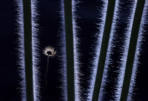 Megszülettek a VM májusi fotópályázatának eredményei