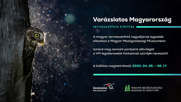 A természet ezer arca a Vajdahunyadvárban