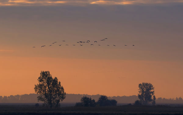 Kalandozások nemzeti parkjainkban – Hortobágyi Nemzeti Park IV.