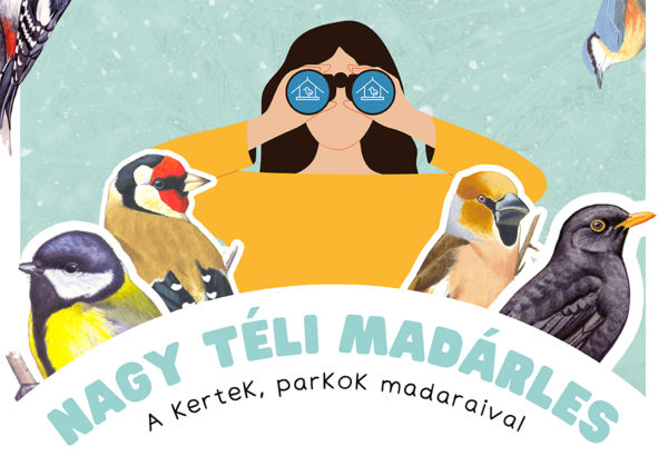 Nagy Téli Madárles – Számít, ha velünk számolsz!