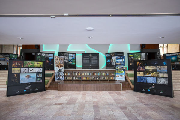 A magyar természetfotó nagydíjának legszebb képei Mosonmagyaróváron