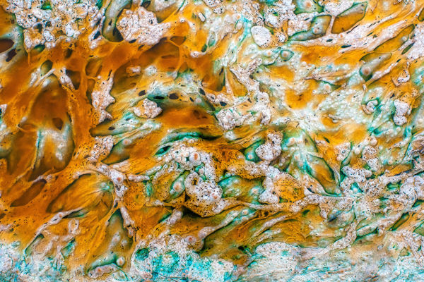 Jól szerepeltek magyar fotósaink a WildArt Photographer of the Year fotópályázaton