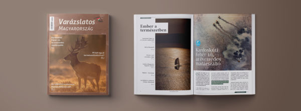 Beköszöntött a VM ősz