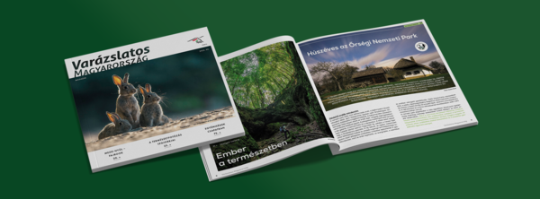 Megújult a VM magazin