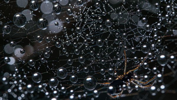 Megszülettek a VM novemberi fotópályázatának eredményei