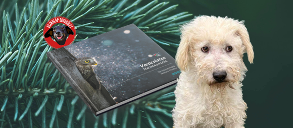 Állati jó segítség