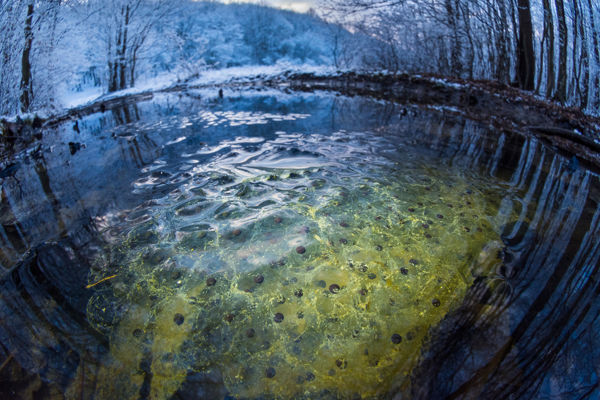 Nagy munka a kisvizekért