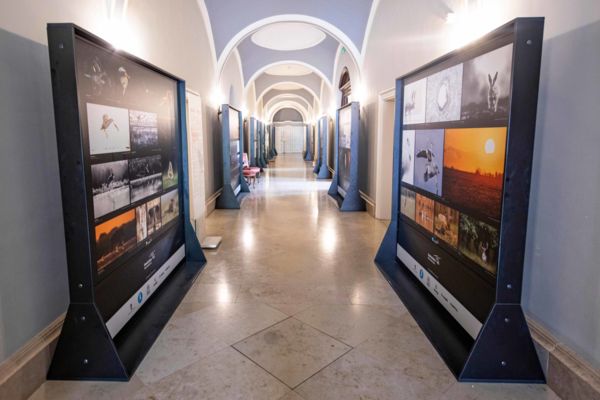 A legszebb természetfotók a Gödöllői Királyi Kastélyban